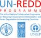 UN-REDD Nigeria National Programme logo